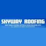 Skyway Roofing 243459 Image 0